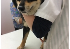 ♡あんちゃん、病院へ行くの巻♡