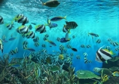 楽しかったお盆