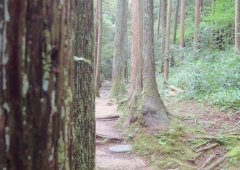 自然のエネルギー