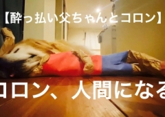 コロン、人間になる