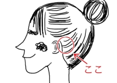 耳の後ろ