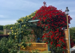 おとぎの森☆ローズガーデン