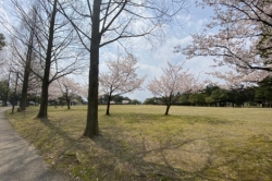暇を持て余したシカモトの遊び